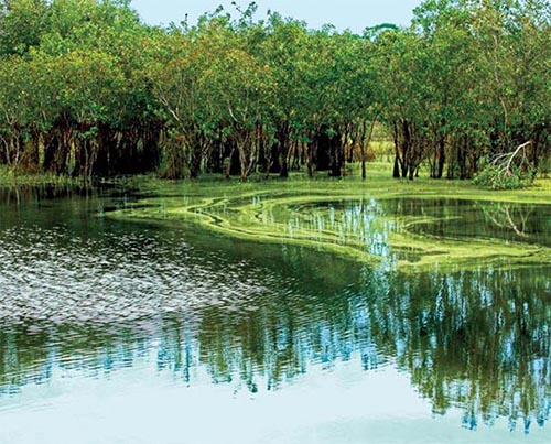 Chẳng cần đi đâu xa, đến ngay Vũng Tàu du lịch, trẻ nhỏ hay người già đều thích mê - 10