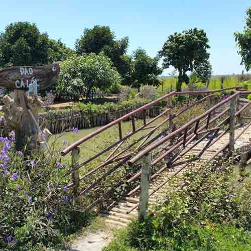 Chẳng cần đi đâu xa, đến ngay Vũng Tàu du lịch, trẻ nhỏ hay người già đều thích mê - 7