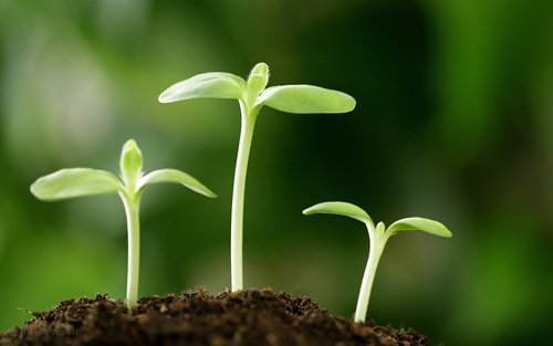 Nhấn vào ảnh để phóng to truyen co tich cho be: mam non nho nho - 1