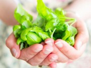 Eva Yêu - Khó lên đỉnh, chị em có thể thử ăn các thực phẩm sau