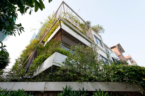 Báo mỹ ca ngợi ngôi nhà phủ kín cây xanh giữa hà nội