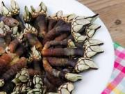 Bếp Eva - Hãi hùng đặc sản "ngón tay quỷ"