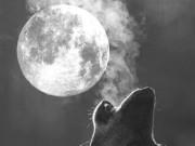 Tin tức - Kỳ thú siêu trăng "trăng sói" xuất hiện đúng ngày đầu năm mới 2018