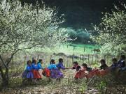 Du lịch - Tháng 1 này, từ Bắc chí Nam đi đâu du lịch là hợp lý?