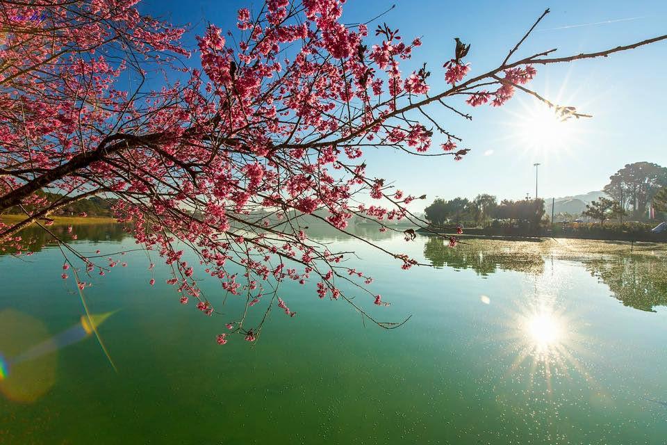 Tháng 1 này, từ Bắc chí Nam đi đâu du lịch là hợp lý? - 9