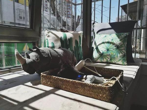 co gai tre danh 3 thang "bien" nha 90 nam tuoi cu nat thanh noi o dep nhu mo - 17