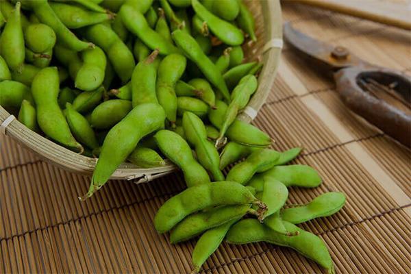 Trẻ bị táo bón nên ăn gì để nhanh chóng khỏi bệnh? - 3
