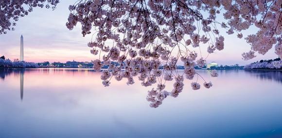 2018 đổi gió du lịch nước ngoài, bạn biết ở đâu rẻ nhất chưa? - 8