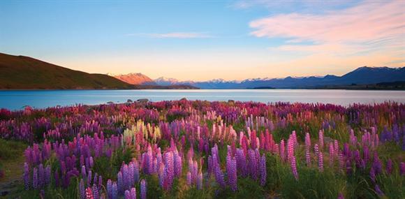 2018 đổi gió du lịch nước ngoài, bạn biết ở đâu rẻ nhất chưa? - 9