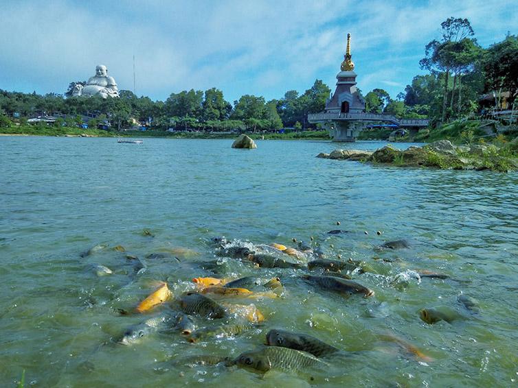 Khám phá núi Cấm và tượng Phật Di Lặc khổng lồ ở An Giang - 13