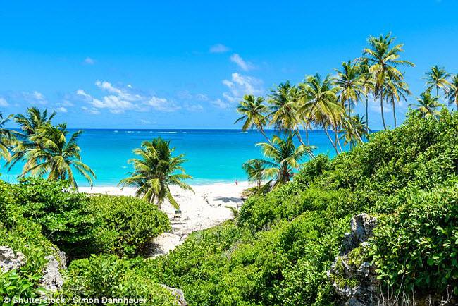 Lý do khiến Barbados là thiên đường ăn chơi của người nổi tiếng - 3