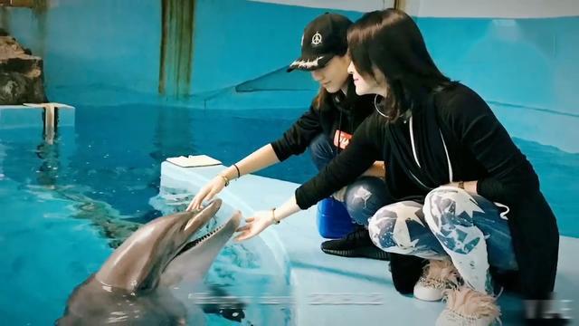 Ngôi sao 24/7: Bỏ vợ con ở nhà ngày Tết, tỷ phú sòng bài lộ ảnh ôm ấp amp;#34;vợ béamp;#34; - 7