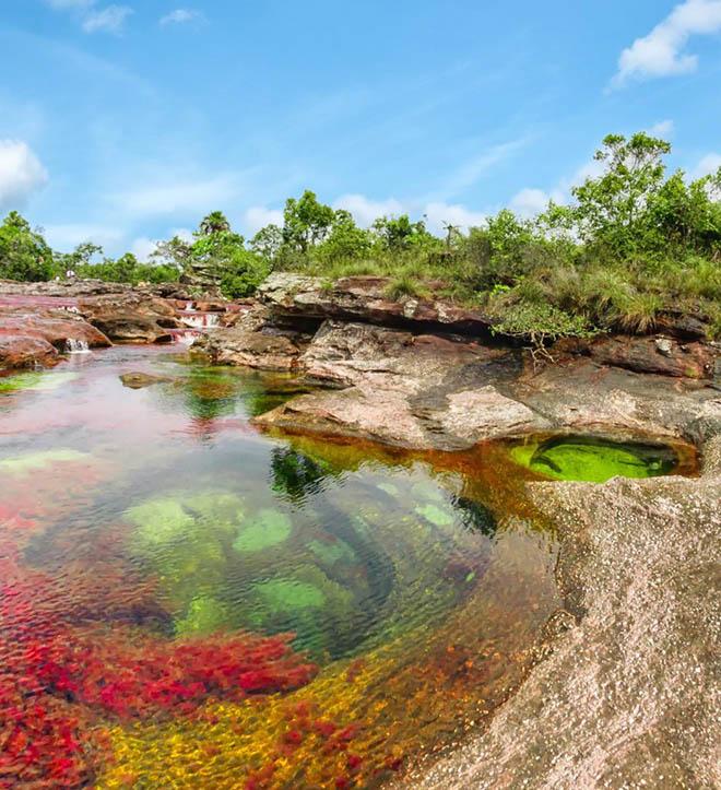 Dòng sông 7 màu amp;#34;chảy từ thiên đườngamp;#34;, có tên Caño Cristales - 9