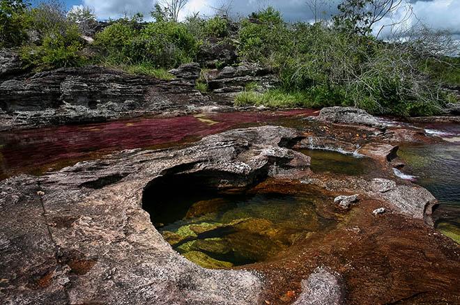Dòng sông 7 màu amp;#34;chảy từ thiên đườngamp;#34;, có tên Caño Cristales - 8
