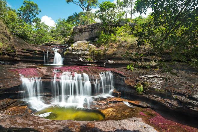 Dòng sông 7 màu amp;#34;chảy từ thiên đườngamp;#34;, có tên Caño Cristales - 1