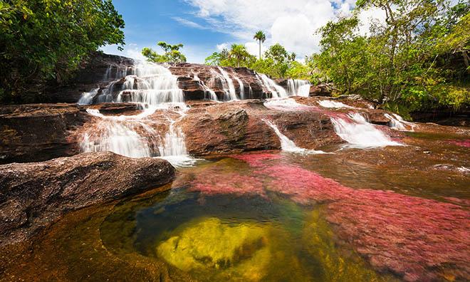 Dòng sông 7 màu amp;#34;chảy từ thiên đườngamp;#34;, có tên Caño Cristales - 2