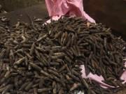 Tiết lộ kinh hoàng cách tiêu hủy kho đầu đạn ở Bắc Ninh