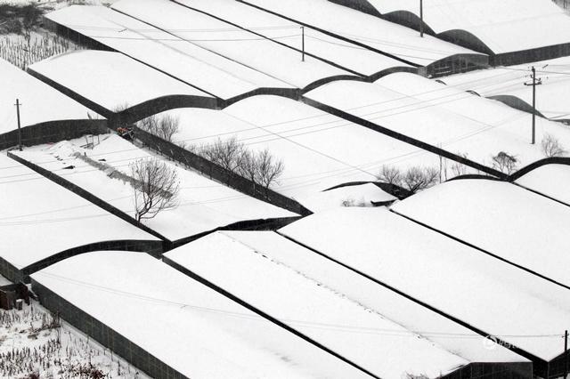 Giá rét -20 độ C, chị em phụ nữ quấn chăn mới dám ra đường đi làm ở TQ - 10