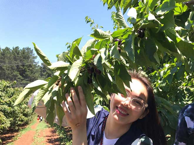 Vợ chồng siêu mẫu Ngọc Thạch cực sang chảnh khi ngồi trực thăng ngắm cảnh ở Úc - 4