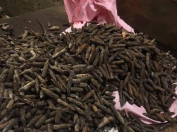 Tiết lộ kinh hoàng cách tiêu hủy kho đầu đạn ở Bắc Ninh