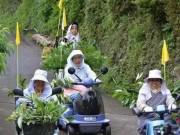 Nhà đẹp - Nhờ bán...lá cây, các cụ bà Nhật Bản kiếm được 52 tỷ đồng/năm