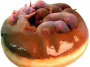 Bếp Eva - Những món ăn sởn da gà không phải ai cũng dám thưởng thức