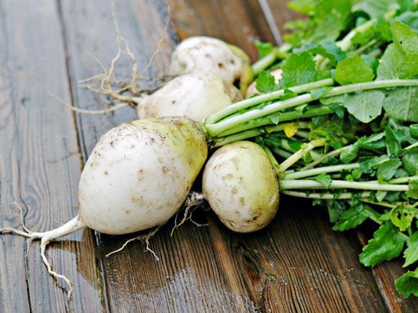 Tác dụng sức khỏe tuyệt vời của rau củ quả màu trắng ít người biết - 7