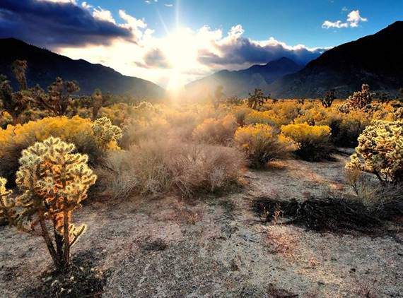 Sững sờ ngắm nhìn 10 sa mạc đẹp nhất thế giới - 2