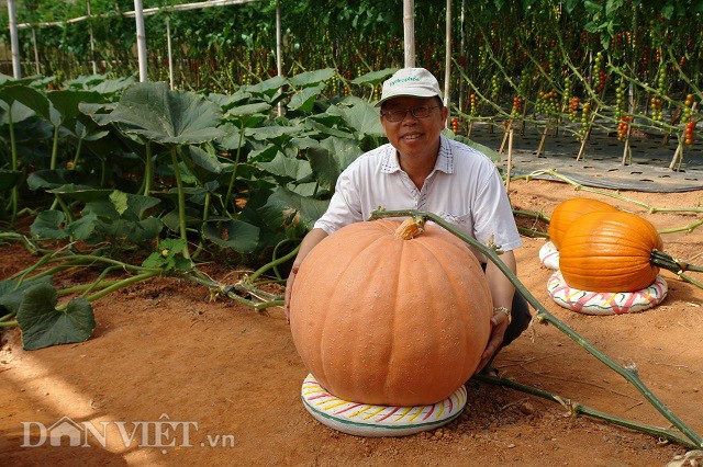 Lạc trôi vào xứ sở toàn rau, củ quả không biết khiêm tốn ở Đà Lạt - 3