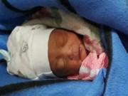 Tin tức - Nhân chứng kể lại giây phút cứu bé sơ sinh nguyên dây rốn bị giấu trong hầm nhà vệ sinh