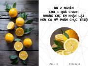Làm đẹp - Bỏ 2 nghìn cho 1 quả chanh nhưng chị em nhận lại... hơn cả mỹ phẩm chục triệu