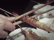 Clip Eva - Cách bóc vỏ tôm chuẩn nhà hàng, không bẩn tay, chỉ cần 2 chiếc đũa