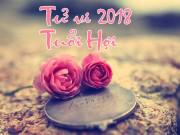 Eva tám - Năm 2018 người tuổi Hợi gặp nhiều thử thách nhưng thu về thành tựu cực lớn