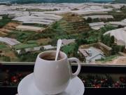Du lịch - 5 quán café đẹp đến ngẩn ngơ cho bạn ôm trọn Đà Lạt