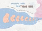 Bà bầu - Cuộc chu du 40 tuần đầy bí ẩn của "mầm sống" bé xíu tới ngày gặp bố mẹ