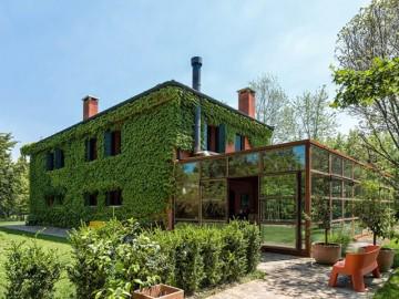 Ngôi nhà không tường giấu mình ẩn hiện, ai cũng muốn đến ở vì quá bình yên