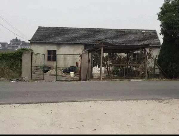 10 thang tu lam moi viec, co gai 19 tuoi bien nha hoang thanh nha vuon dep khong tin noi - 1