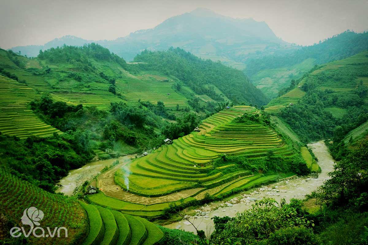 Mù Cang Chải – Thiên đường ruộng bậc thang của núi rừng Tây Bắc - 4