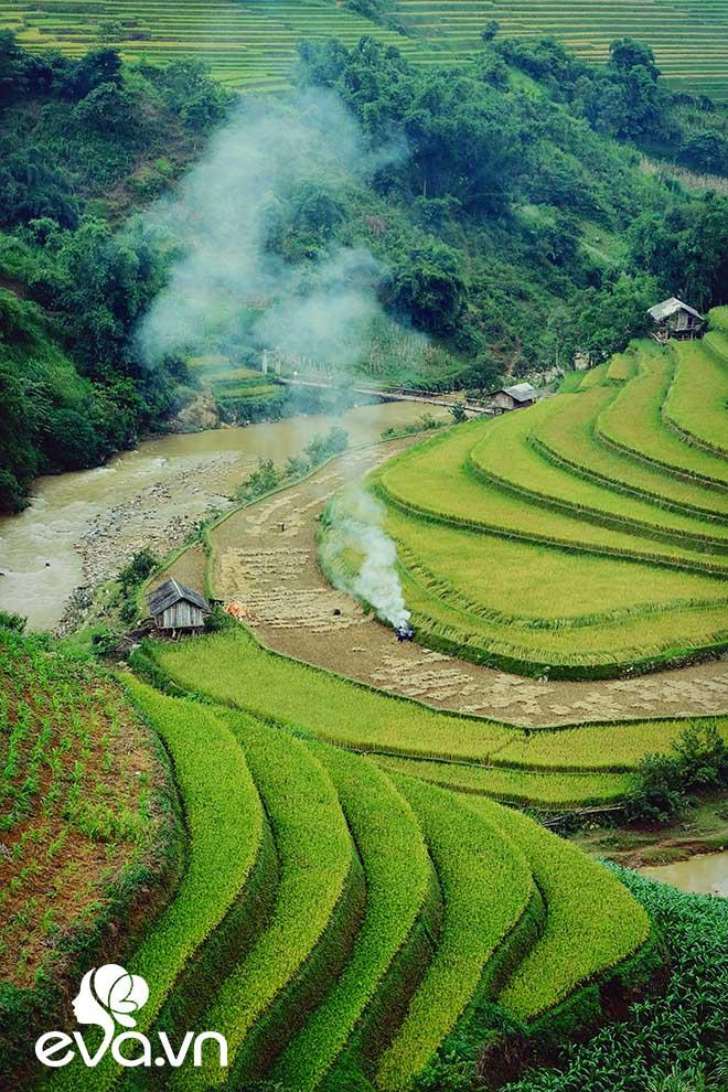 Mù Cang Chải – Thiên đường ruộng bậc thang của núi rừng Tây Bắc - 8