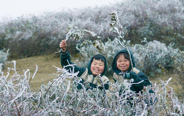 Băng tuyết trắng xoá tại Mù Cang Chải khi nhiệt độ xuống dưới 0 độ C - 6
