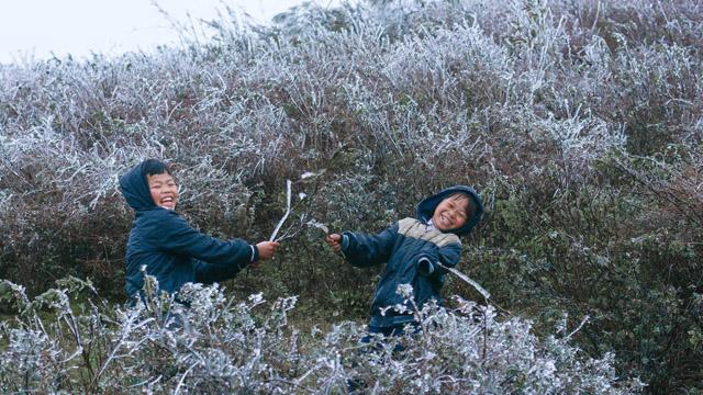 Băng tuyết trắng xoá tại Mù Cang Chải khi nhiệt độ xuống dưới 0 độ C - 7