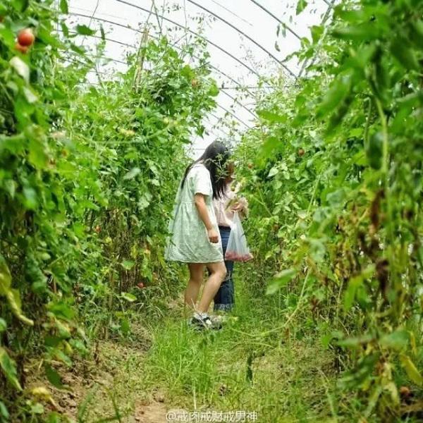 10 thang tu lam moi viec, co gai 19 tuoi bien nha hoang thanh nha vuon dep khong tin noi - 17