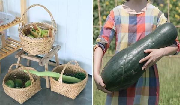 10 thang tu lam moi viec, co gai 19 tuoi bien nha hoang thanh nha vuon dep khong tin noi - 14