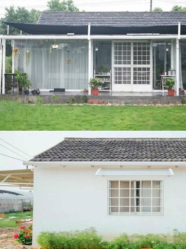 10 thang tu lam moi viec, co gai 19 tuoi bien nha hoang thanh nha vuon dep khong tin noi - 5