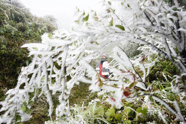 Tin không khí lạnh mới nhất: Miền Bắc tiếp tục chìm trong giá rét, Sa Pa dưới 1 độ C - 1