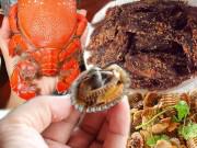 Du lịch - Đặc sản Phú Yên khiến du khách nức nở khen ngon