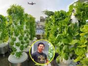 Nhà đẹp - Biết vợ mang bầu, ông bố Sài Thành quyết trồng rau sạch bảo vệ sức khỏe vợ con