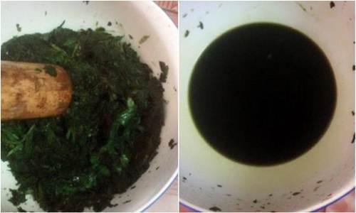 Mẹo se khít lỗ chân lông, hết nám với mớ rau răm 3 ngàn đồng - 3