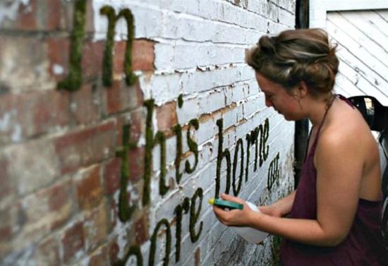 Không ai hiểu vì sao cô gái amp;#34;rảnhamp;#34; quét rêu, sữa chua lên tường cho đến khi thấy thành quả - 2