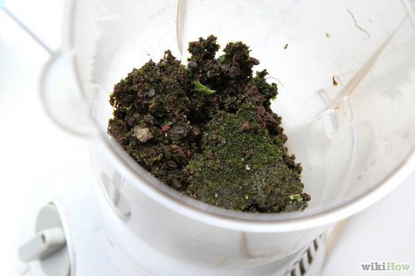 Không ai hiểu vì sao cô gái amp;#34;rảnhamp;#34; quét rêu, sữa chua lên tường cho đến khi thấy thành quả - 10